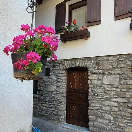 Maison Martin
